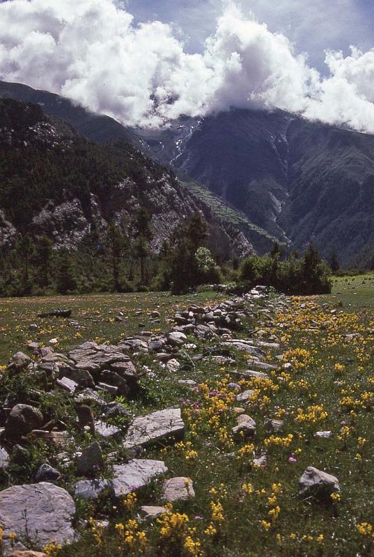 WT 1000 161-02 Nepal.jpg